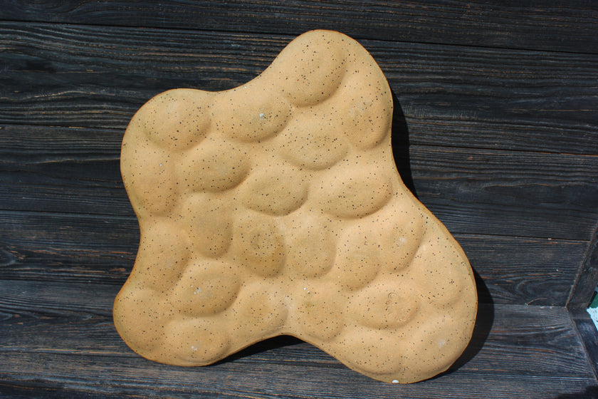 24ct Deviled Egg Tray (White)